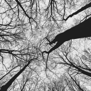 Building a REST API with Go