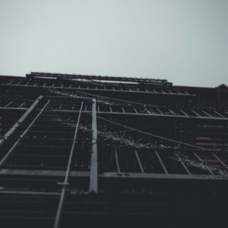 How to Combine Next.js and Go