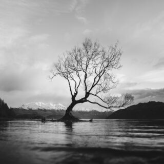 Asynchronous Programming in Node.js